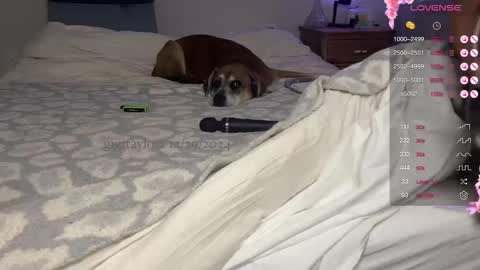 gigi online show from 12/29/24, 07:53