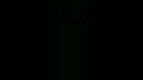 gimedat7412 online show from 02/24/26, 07:28