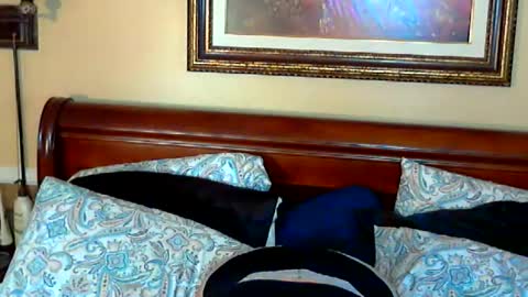 Snapshot of ginny_rose chatting on 05/15/26, 09:33 Ginny Rose online show from 05/15/26, 09:33