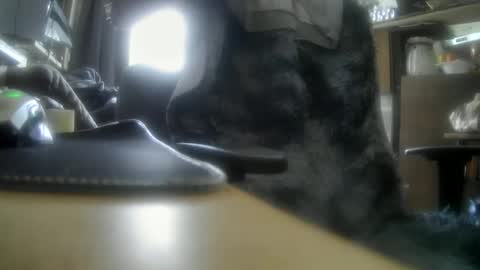 Snapshot of giovanne1 chatting on 12/05/24, 12:11 giovanne1 online show from 12/05/24, 12:11