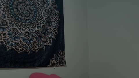 Snapshot of girlofurdreamsxxxxox chatting on 11/10/25, 01:10 Camille online show from 11/10/25, 01:10