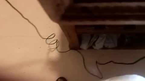 lovegirlscallme online show from 08/07/26, 02:13