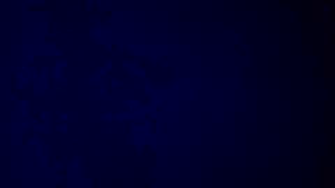 Snapshot of giuseppeciao206 chatting on 12/16/25, 09:25 elen06 online show from 12/16/25, 09:25