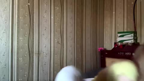 Snapshot of gladisstipes chatting on 03/22/26, 09:02 Hello My name is Ashley online show from 03/22/26, 09:02