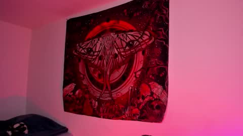 NYX online show from 02/05/26, 08:13