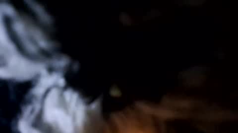 glizzy4u online show from 12/19/25, 05:31