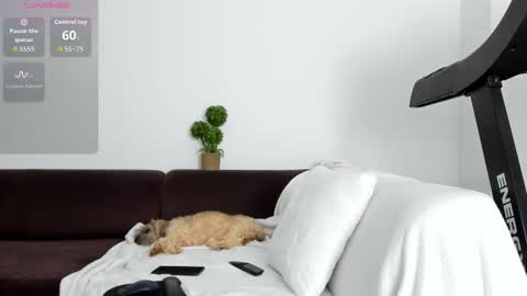 Alice online show from 01/17/26, 10:35