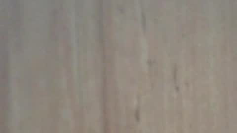 Snapshot of glyder1961 chatting on 02/07/25, 03:41 Glyder online show from 02/07/25, 03:41