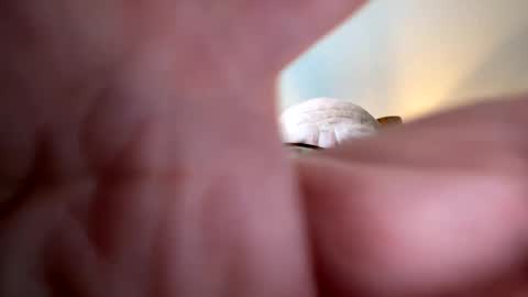 gngnxxx online show from 10/07/25, 12:02