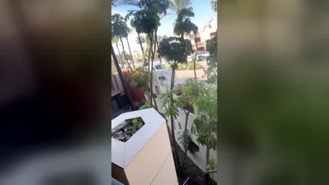 Goddess L online show from 04/20/26, 09:01