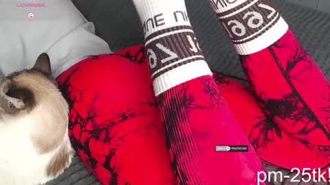 Goddess EmmaBratt princess online show from 02/03/26, 01:49