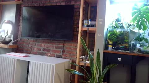 Snapshot of goddessjojo4u chatting on 02/07/26, 09:18 Goodess Jojo online show from 02/07/26, 09:18