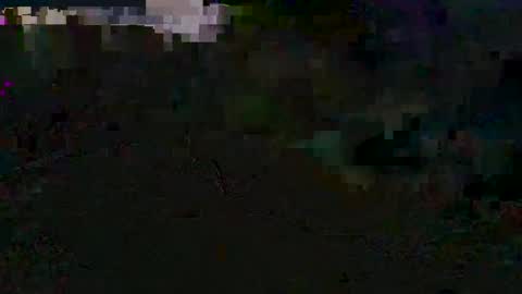 godonsin online show from 12/10/24, 02:28