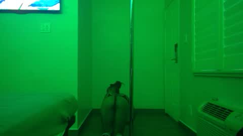 Snapshot of gogetter4life213 chatting on 02/02/25, 04:32 gogetter4life213 online show from 02/02/25, 04:32