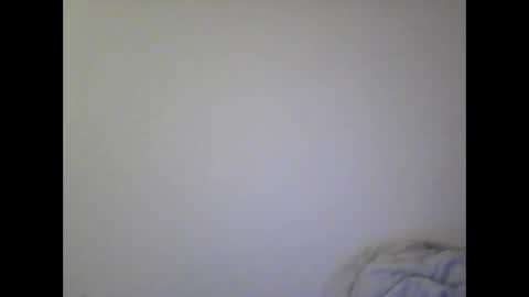 Snapshot of gohan8558 chatting on 12/25/24, 02:56 gohan8558 online show from 12/25/24, 02:56