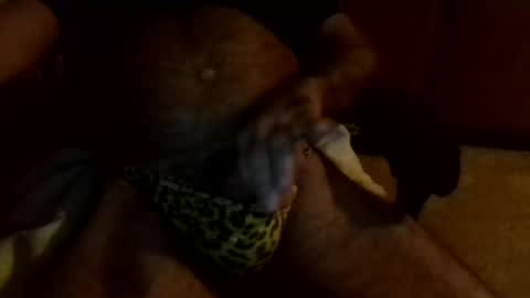 Snapshot of gojo885 chatting on 01/13/25, 03:23 gojo885 online show from 01/13/25, 03:23