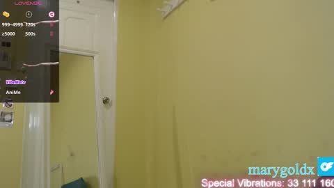 Snapshot of gold_mary_ chatting on 01/25/25, 11:34 Mary online show from 01/25/25, 11:34