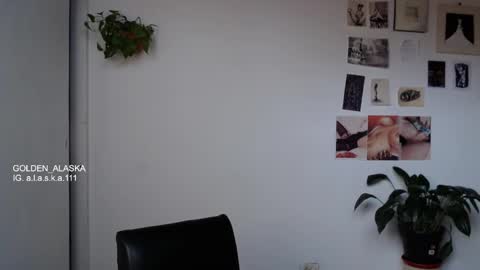 Snapshot of golden_alaska chatting on 10/08/25, 01:20 Alaska online show from 10/08/25, 01:20