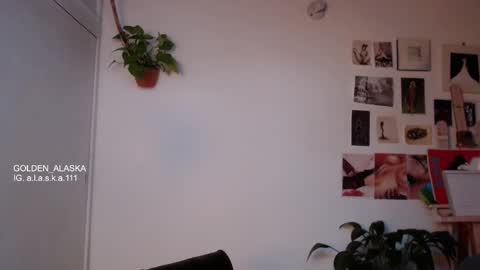 Snapshot of golden_alaska chatting on 10/20/25, 11:21 Alaska online show from 10/20/25, 11:21