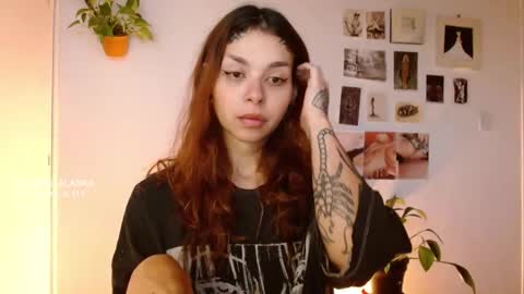 Snapshot of golden_alaska chatting on 10/29/25, 11:56 Alaska online show from 10/29/25, 11:56