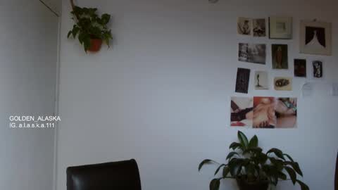 Snapshot of golden_alaska chatting on 11/09/25, 08:07 Alaska online show from 11/09/25, 08:07