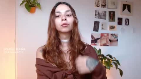 Snapshot of golden_alaska chatting on 11/11/25, 11:54 Alaska online show from 11/11/25, 11:54