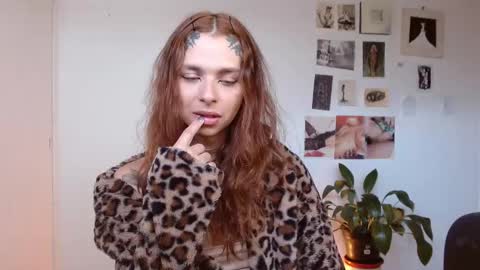 Snapshot of golden_alaska chatting on 12/02/25, 01:17 Alaska online show from 12/02/25, 01:17