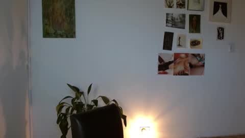 Snapshot of golden_alaska chatting on 02/01/26, 12:15 Alaska online show from 02/01/26, 12:15