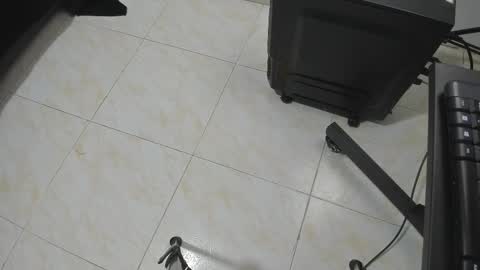 Snapshot of goldyht chatting on 12/16/25, 12:54 goldyht online show from 12/16/25, 12:54