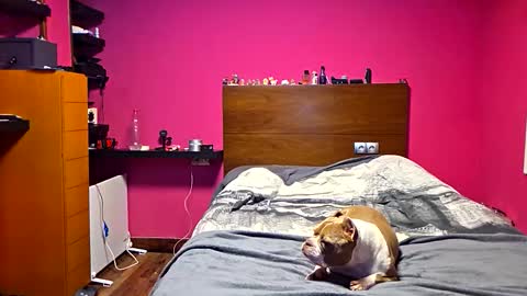 Snapshot of gonzalobilbaogon chatting on 03/23/26, 12:36 gonzalo online show from 03/23/26, 12:36