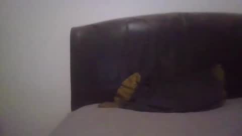 Snapshot of goodcock12345 chatting on 02/19/25, 06:55 goodcock12345 online show from 02/19/25, 06:55