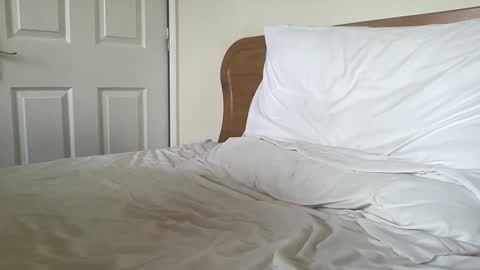 Snapshot of gotenks93 chatting on 03/04/25, 08:35 Dillan Diamonds online show from 03/04/25, 08:35