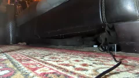 Snapshot of gothicfeetfantasies chatting on 01/25/25, 07:17 Mistress Mommy Godess online show from 01/25/25, 07:17