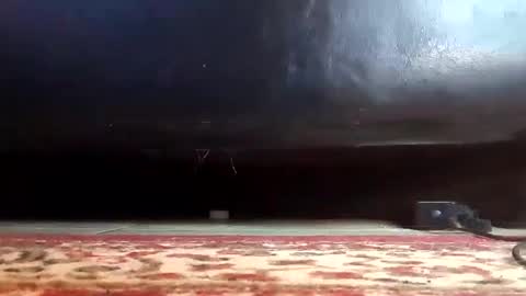 Snapshot of gothicfeetfantasies chatting on 03/12/25, 03:40 Mistress Mommy Godess online show from 03/12/25, 03:40