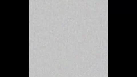 Grace online show from 09/29/25, 11:48