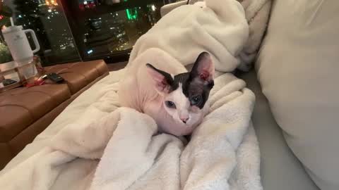 Snapshot of graciemae_baexx chatting on 12/23/25, 03:48 Gracie Mae online show from 12/23/25, 03:48