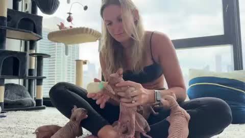 Gracie Mae online show from 06/24/26, 09:25