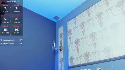 Snapshot of grantblake chatting on 02/06/25, 09:32 Grant online show from 02/06/25, 09:32