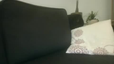 Snapshot of greatdick25700 chatting on 09/08/25, 08:19 greatdick25700 online show from 09/08/25, 08:19