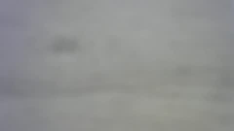 Snapshot of greekmeal1234 chatting on 02/27/25, 08:09 greekmeal1234 online show from 02/27/25, 08:09