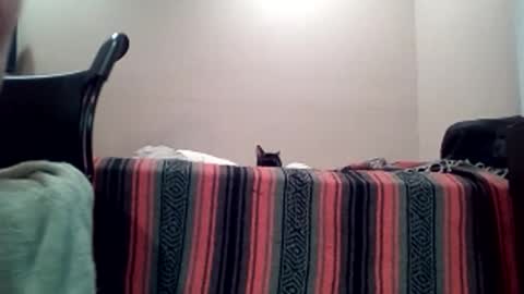 Snapshot of greeneyedcutie chatting on 04/11/26, 07:45 Jack online show from 04/11/26, 07:45