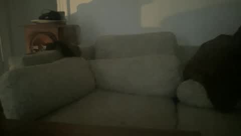 Sonny online show from 12/20/24, 08:23