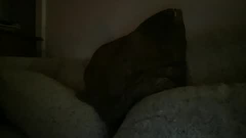 Sonny online show from 12/25/24, 02:35