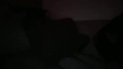 Sonny online show from 03/07/25, 06:35