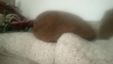 Sonny online show from 12/21/25, 06:04