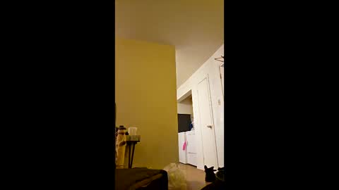 greenvertgo online show from 12/15/25, 12:59