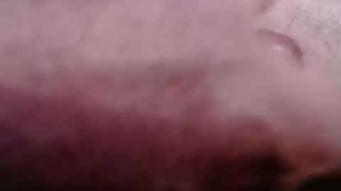 Greg online show from 02/21/26, 08:43