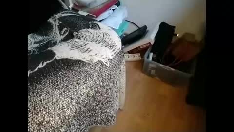 Snapshot of gregorius_1 chatting on 01/21/25, 09:46 Greg online show from 01/21/25, 09:46