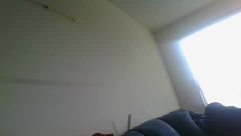 Snapshot of gringoloco253783 chatting on 12/31/24, 04:46 certifiedloverboy online show from 12/31/24, 04:46