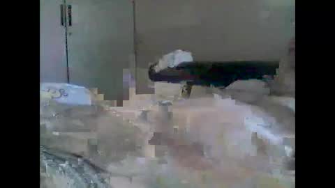 Snapshot of grittslappa chatting on 09/22/25, 12:23 grittslappa online show from 09/22/25, 12:23